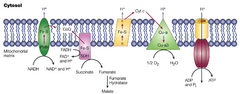 enzymatic activity enzymatic activity