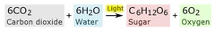 Equation of photosynthesis. Equation of photosynthesis.