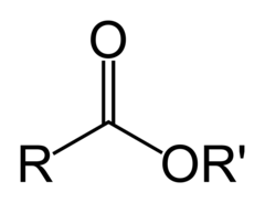 Ester Ester