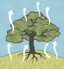 evapotranspiration evapotranspiration