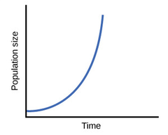 exponential growth exponential growth