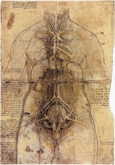 Female Anatomy by Leonardo Da Vinci
1510 Female Anatomy by Leonardo Da Vinci
1510