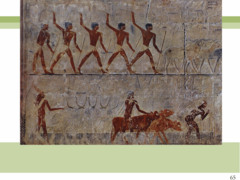 Figure 3-16 Goats treading seed and cattle fording a canal, reliefs in the mastaba of Ti, Saqqara, Egypt, Fifth Dynasty, ca. 2450 - 2350 BCE. Painted limestone. (Middle Kingdom)