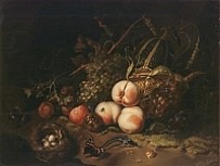 Fruit and Insects Ruysch 1711 oil on wood Fruit and Insects Ruysch 1711 oil on wood