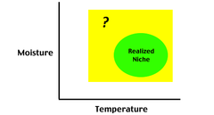 fundamental niche fundamental niche