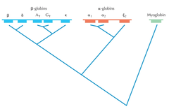 gene families gene families