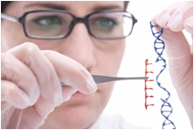genetic engineering genetic engineering