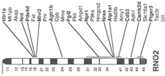 genetic map genetic map