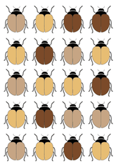 genetic variation genetic variation