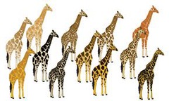 genetics genetics