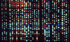 genome genome