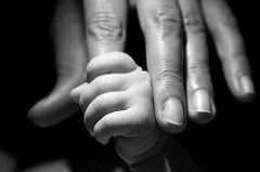 Grasping Reflex Grasping Reflex
