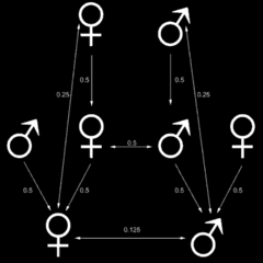 Hamilton's rule Hamilton's rule