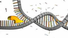 helicase helicase