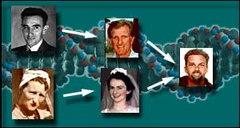 heredity heredity