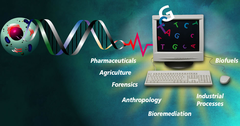 Human Genome Project Human Genome Project