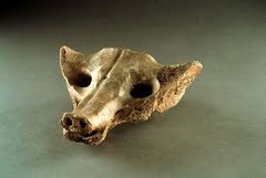ID: Camelid scacrum in the shape of a canine. Tequixquiac, Mexico. Prehistoric Americas. 14,000-7,000 BCE. Medium: bone
Form: made from the sacrum(hipbone) of an extinct camelid(relative of a camel)
Function: ceremonial mass. Thought to be a portal
Content: carved to look like a canine skull, ceremonial mask
Context: found in 1870 during excavation, eastern Tequixquiac ID: Camelid scacrum in the shape of a canine. Tequixquiac, Mexico. Prehistoric Americas. 14,000-7,000 BCE. Medium: bone
Form: made from the sacrum(hipbone) of an extinct camelid(relative of a camel)
Function: ceremonial mass. Thought to be a portal
Content: carved to look like a canine skull, ceremonial mask
Context: found in 1870 during excavation, eastern Tequixquiac