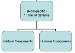 innate immunity innate immunity