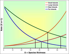island equilibrium model island equilibrium model