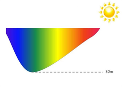 light limitation light limitation