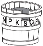 limiting nutrient limiting nutrient
