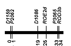 linkage map linkage map