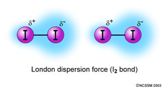 London Dispersion Forces London Dispersion Forces