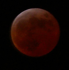 lunar eclipse lunar eclipse