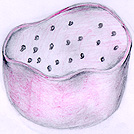 lysosome lysosome