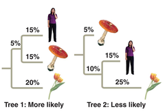 maximum likelihood maximum likelihood