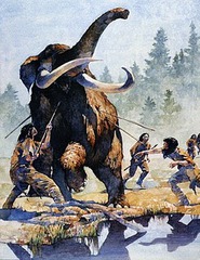 MegaFaunal Extinction MegaFaunal Extinction