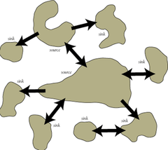 metapopulation metapopulation