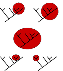 monophyletic group monophyletic group