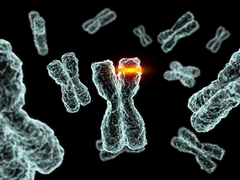 mutation mutation