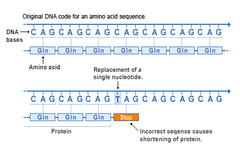 nonsense mutations nonsense mutations