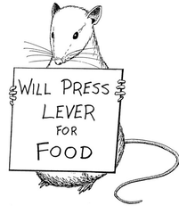 operant conditioning operant conditioning