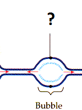 origins of replication origins of replication