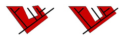 paraphyletic group paraphyletic group