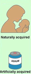 passive immunity passive immunity
