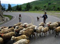 Pastoral Societies Pastoral Societies