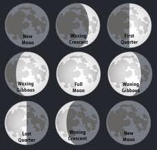 phases of the moon phases of the moon