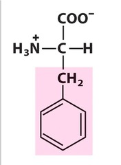 Phenylalanine Phenylalanine