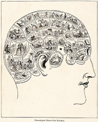 Phrenologist Phrenologist