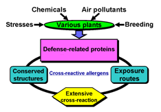 PR protein PR protein