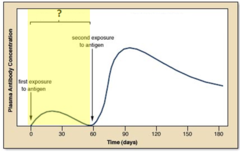 primary immune response primary immune response
