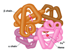 quaternary structure quaternary structure