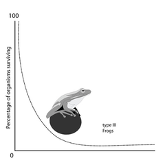 r-selected species r-selected species