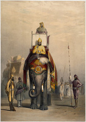 rajahs rajahs
