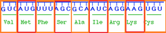 reading frame reading frame