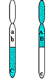 recombinant types recombinant types